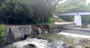 Diterjang Banjir, Plengsengan Sungai Binau Lemahbang Dewo Banyuwangi Ambrol: Lintasan Kereta Api Terancam