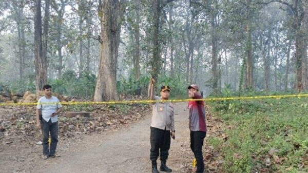 Polisi Ungkap Mayat Di Hutan Jati Subah, Korban Adalah Satpam