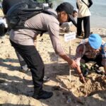 Polsek Kaliori Dan Dandim 0720 Rembang Bersatu Dalam Penanaman Mangrove