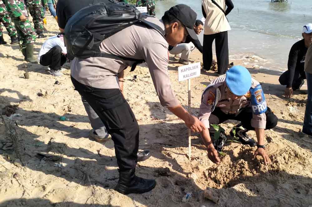 Polsek Kaliori dan Dandim 0720 Rembang Bersama Tanam Mangrove