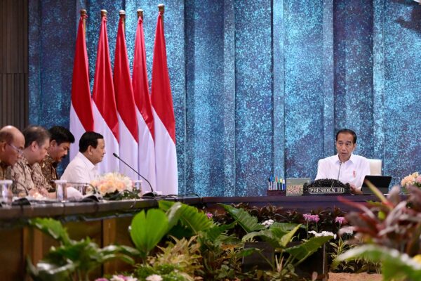 Presiden Terpilih Prabowo: Saya Tegaskan Kita Lanjutkan Ikn, Kalau Bisa