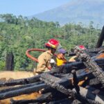 Tragedi Kebakaran Di Mojotengah Wonosobo: Rumah Terbakar Dan Enam Kambing