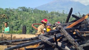 Tragedi Kebakaran di Mojotengah Wonosobo: Rumah Terbakar dan Enam Kambing Tewas