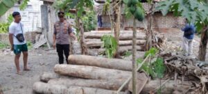 Polisi Amankan Dua Pelaku Ilegal Logging di Kawasan Purwoharjo