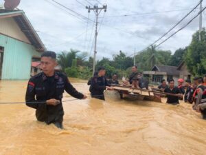 Banjir Kembali Melanda, SAR Brimob Kalteng Evakuasi Masyarakat Di Beberapa Desa Di Kabupaten Murung Raya