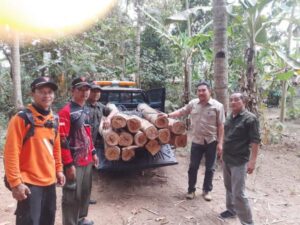 Penemuan Mengejutkan di Banyuwangi: Tim Gabungan Temukan Penyimpanan Kayu Jati Ilegal