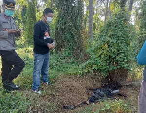 Banyuwangi Dihebohkan Penemuan Mayat Hangus, Hanya Tinggal Kerangka