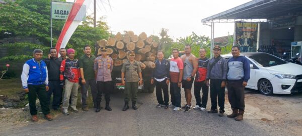 Dua Pelaku Ilegal Logging Diciduk, Polsek Purwoharjo Ungkap Operasi Rahasia