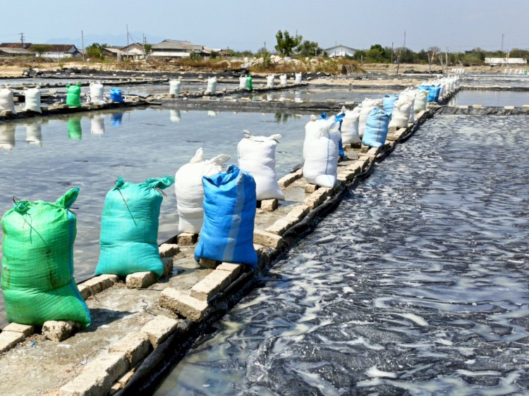 Harga Garam Stabil, Buruh Tani Rembang dan Pati Bersyukur dan Tersenyum