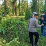 Hilang Tanpa Jejak, Lansia Banyuwangi Ditemukan Menjadi Kerangka