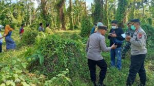 Warga Banyuwangi Terkejut, Mayat Hangus Tinggal Kerangka Ditemukan