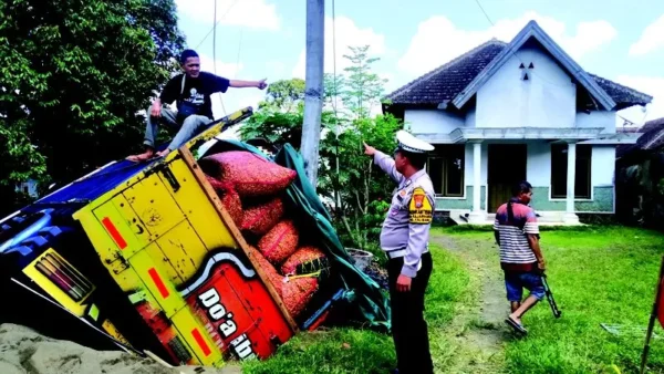 Hindari Pemotor, Truk Cabai Terperosok Ke Parit Di Simpang Tiga