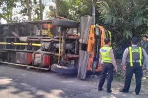 Kecelakaan Tunggal Truk Fuso di Glenmore Banyuwangi, Muatan Triplek Berserakan