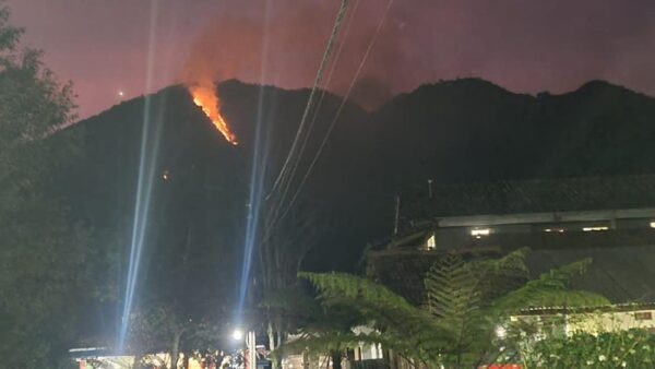 Kebakaran Gunung Telomoyo: Berawal Dari Warga Bakar Rumput