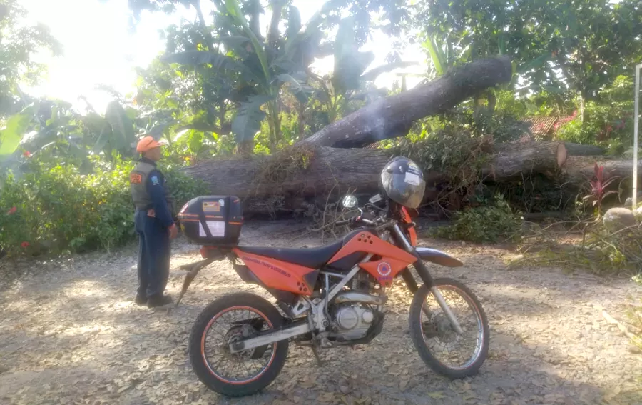 Mahoni Banyuwangi Rugi Besar Akibat Pembakaran Sampah Warga