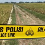 Mayat Pria Tanpa Identitas Ditemukan Bersimbah Darah Di Sawah Banjarnegara