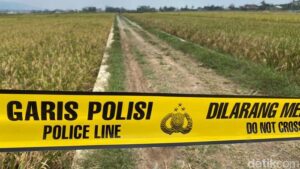 Polisi Selidiki Penemuan Mayat Pria Tanpa Identitas Bersimbah Darah di Sawah Banjarnegara