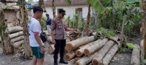 Kasus Ilegal Logging di Purwoharjo: Dua Pelaku Berhasil Diamankan Polisi