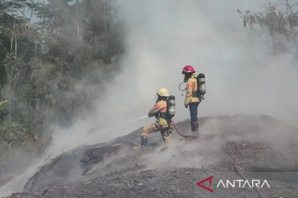 Pabrik Di Temanggung Terbakar, Limbah Kayu Picu Asap Pekat Di