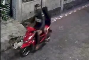 Maling di Semarang Kini Sasar Kucing, Warga Resah