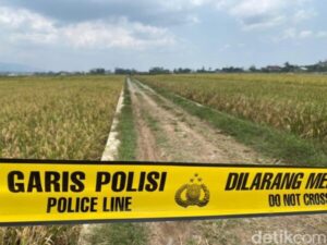 Misteri Mayat Pria di Sawah Klampok, Banjarnegara Geger