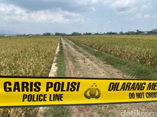 Penemuan Mayat Di Sawah Klampok Banjarnegara, Pria Bersimbah Darah