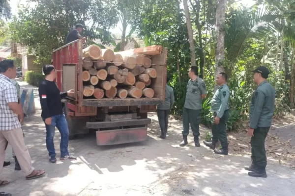 Petugas Polhutmob Banyuwangi Selatan Ungkap Temuan Kayu Mahoni Ilegal