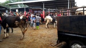 Polda Jateng Sebut Belum Ada Tersangka Terkait Korupsi Pasar Hewan Boyolali