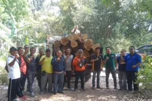 Polhutmob KPH Banyuwangi Selatan Temukan 29 Batang Kayu Jati Ilegal di Tepi Sungai