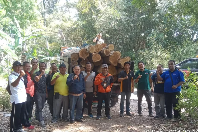 Kronologi Penemuan 29 Batang Kayu Jati Ilegal oleh Polhutmob KPH Banyuwangi Selatan