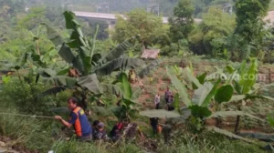 Pembusukan Jadi Penyebab Kematian Korban di Kebun Banyuwangi, Misteri Terungkap