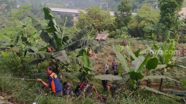 Polisi Ungkap Mayat Di Kebun Banyuwangi, Pembusukan Jadi Penyebab Kematian