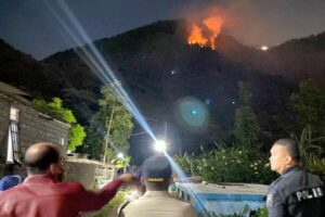 Terbakarnya Gunung Telomoyo, Polisi Cari Tahu Penyebab Kebakaran