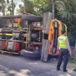 Truk Fuso Bermuatan Triplek Alami Kecelakaan Di Glenmore, Berikut Penyebabnya