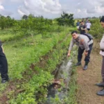 Warga banyuwangi hilang 3 hari, ditemukan tewas di saluran irigasi