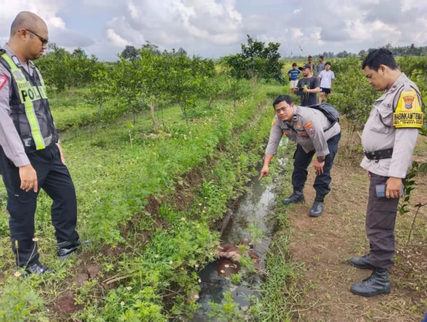 Warga Banyuwangi Hilang 3 Hari, Ditemukan Tewas Di Saluran Irigasi