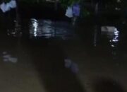 Banjir Bandang Di Tambakromo Pati, Jalan Dan Sekolah Tertutup Lumpur