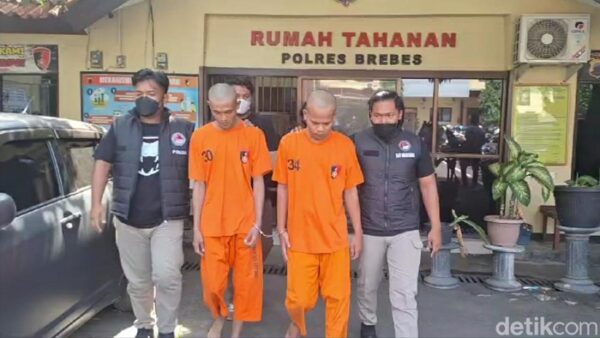 Calon Pengantin di Brebes Ditahan, Ketahuan Beli Ganja untuk Perayaan Nikah