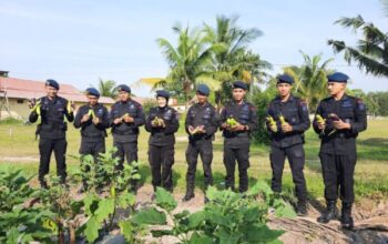 Brimob Kalteng Giat Tingkatkan Ketahanan Pangan Di Tiga Lokasi Strategis