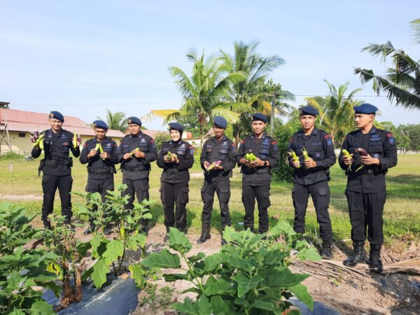 Brimob Kalteng Giat Tingkatkan Ketahanan Pangan Di Tiga Lokasi Strategis