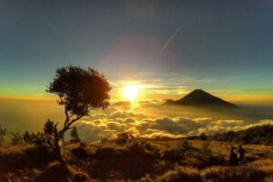 DVI Polda Jateng Selidiki Kerangka Misterius di Gunung Sumbing dengan Tes DNA