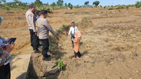 Dari Sial Menjadi Berkah: Wanita Semarang Temukan Bayi Di Tengah