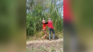 Rekaman Duel Gladiator Bocah SD di Pemalang Viral di Media Sosial