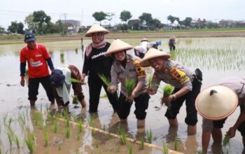 Gandeng Pemerintah Daerah, Polres Sukoharjo Dukung Ketahanan Pangan Siapkan 20