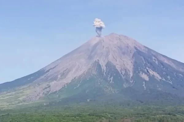 Gunung Semeru Erupsi Lagi Hari Ini, Letusan Capai 800 Meter!