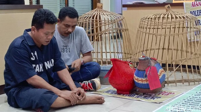 Jadi Panitia Sabung Ayam, Oknum Polisi di Semarang Tersangka