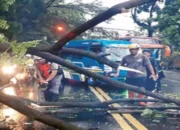 Kota Malang Dikepung Banjir Dan Pohon Tumbang Akibat Hujan Deras