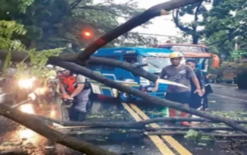 Kota Malang Dikepung Banjir Dan Pohon Tumbang Akibat Hujan Deras