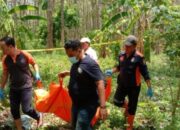 Lansia Ditemukan Meninggal Di Kawasan Hutan Jati Pati, Apa Penyebabnya?