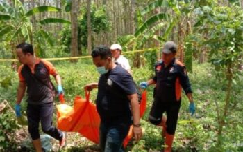 Lansia Ditemukan Meninggal Di Kawasan Hutan Jati Pati, Apa Penyebabnya?